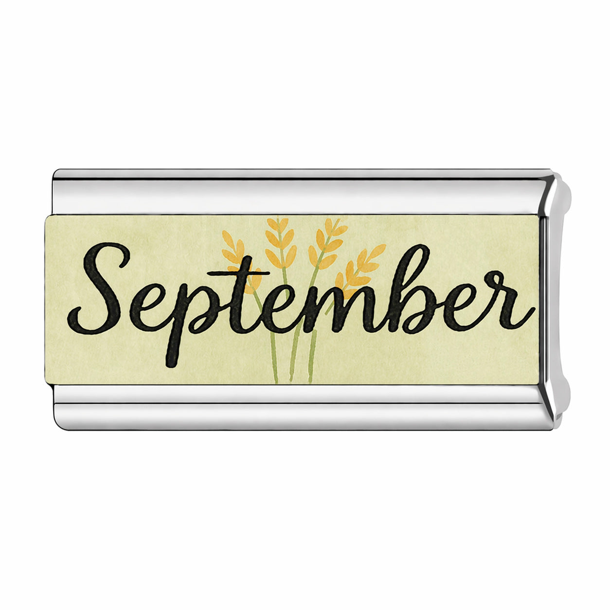 Charm Para Brazalete Italiano Doble Meses