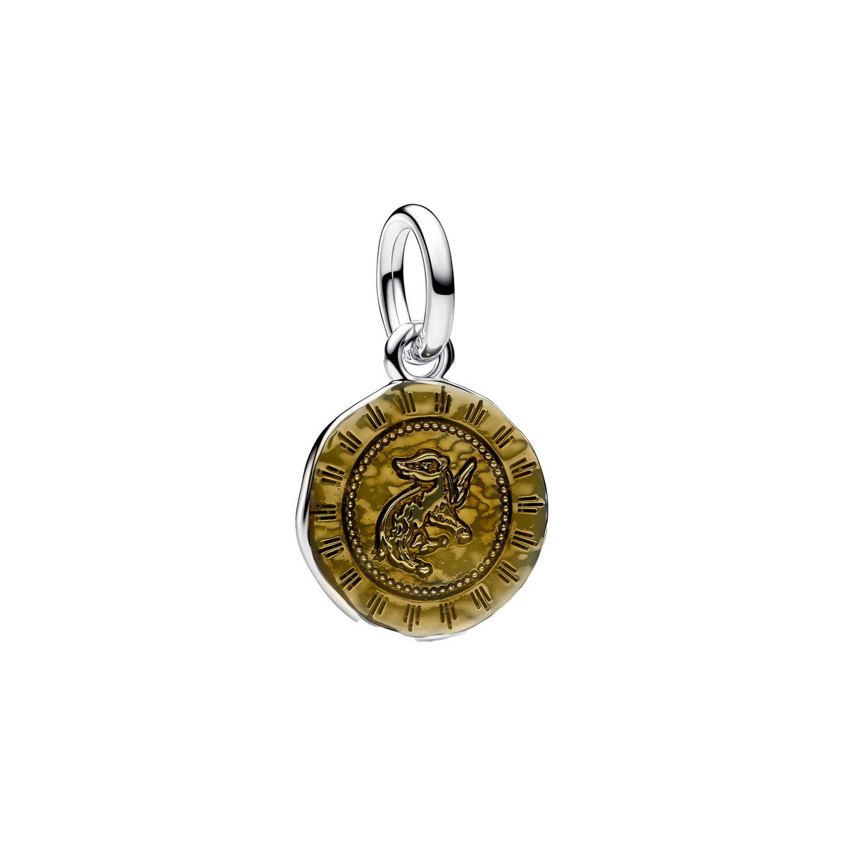 Charm Colgante Medallón Casas de Hogwarts Harry Potter®