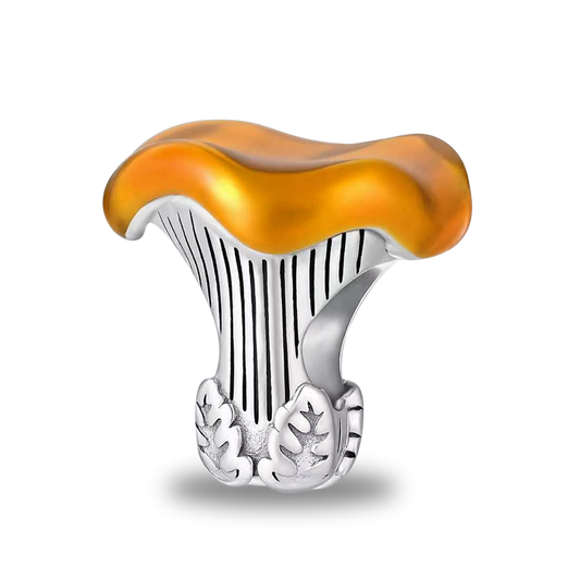 Charm Chanterelle Mushroom