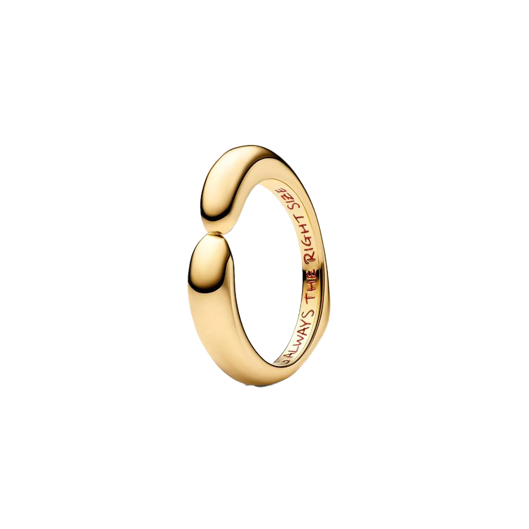 Anillo Abrazo De Winnie The Pooh de Disney®
