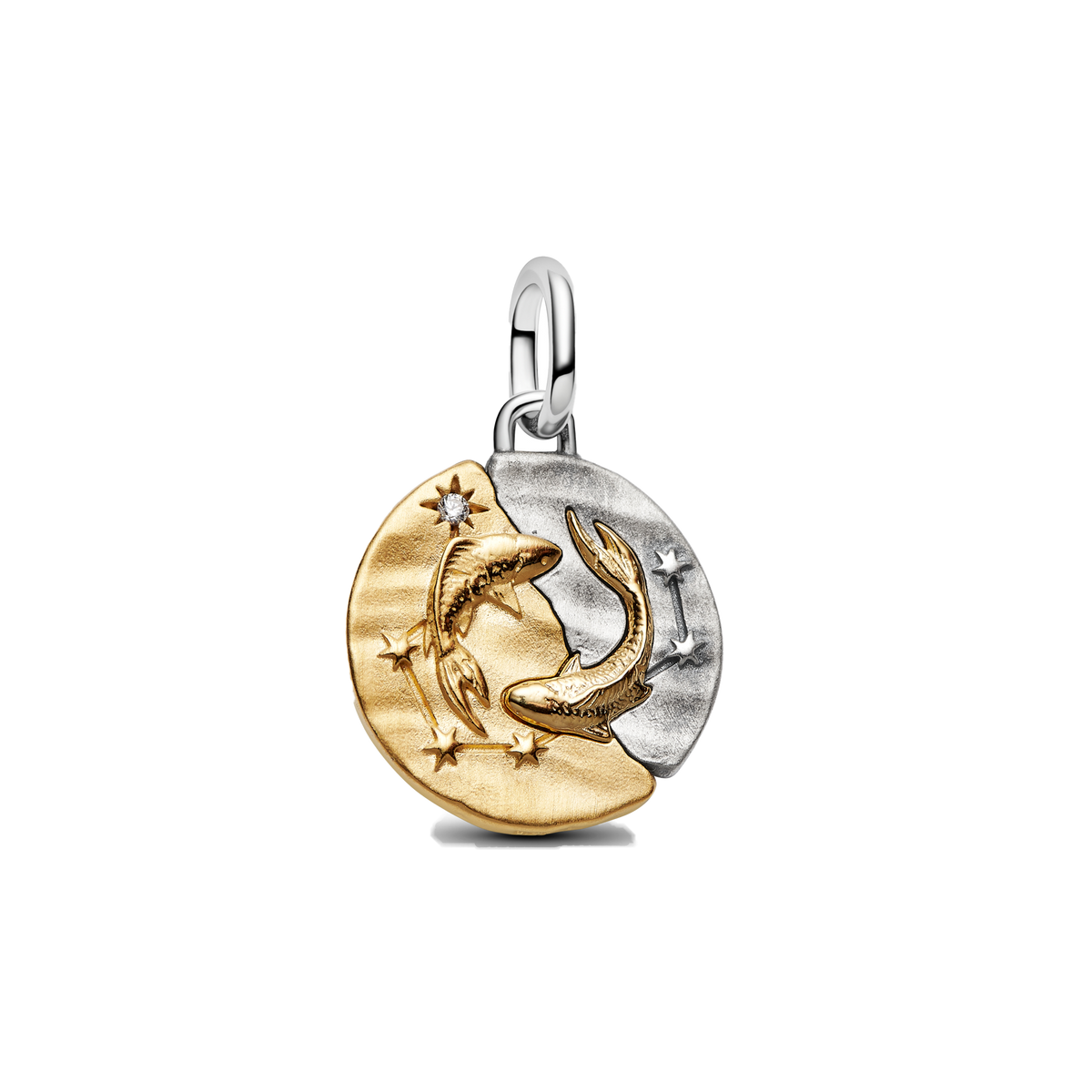 Charm Colgante Medallón Signos Zodiacales Doble Tono