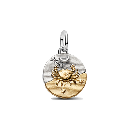 Charm Colgante Medallón Signos Zodiacales Doble Tono