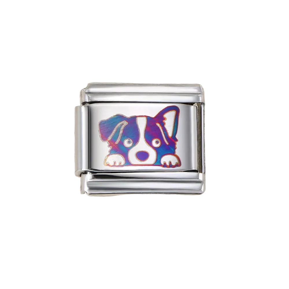 Charm Para Brazalete Italiano Tornasol Cachorro Border Collie