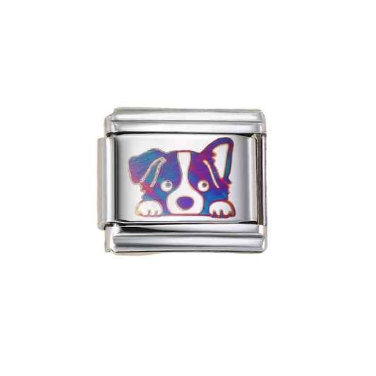 Charm Para Brazalete Italiano Tornasol Cachorro Border Collie